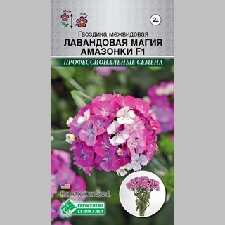 Гвоздика Лавандовая Магия Амазонки F1 (межвидовая)