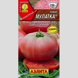Томат Мулатка