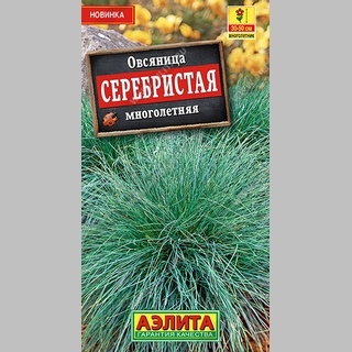 Овсяница Серебристая