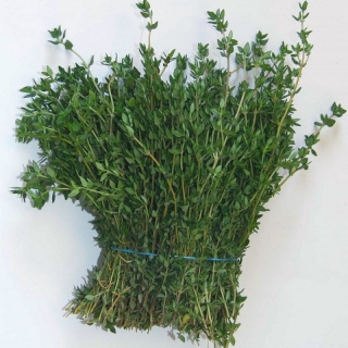 Тимьян Лимончелло