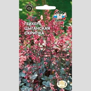 Гейхера Цыганская Скрипка (красно-белая)