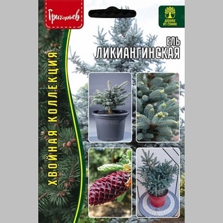 Ель ликиангинская (большой пакет)