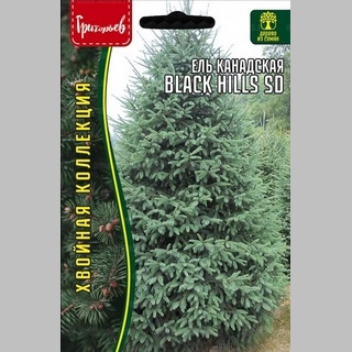 Ель Black Hills SD канадская густая (большой пакет)