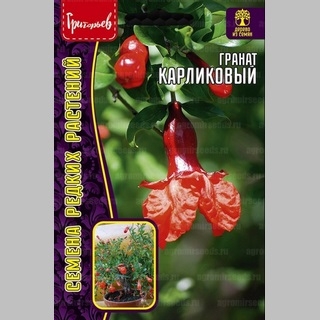 Гранат Карликовый (большой пакет)