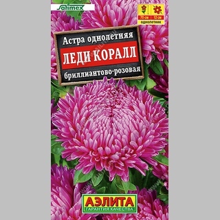 Астра Леди Коралл бриллиантово-розовая