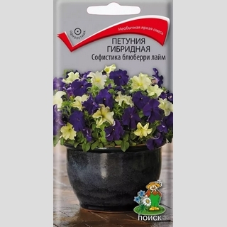 Петуния Софистика F1 Блюберри Лайм