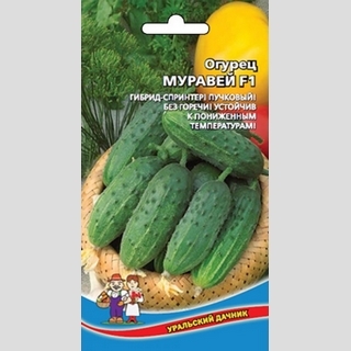Огурец Муравей F1