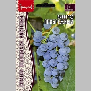 Виноград Прибрежный (большой пакет)