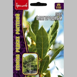 Лавр благородный (большой пакет)