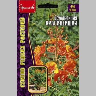 Цезальпиния Красивейшая (большой пакет)