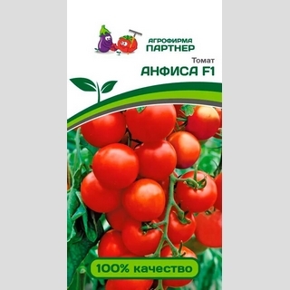 Томат Анфиса F1