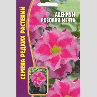 Адениум Розовая Мечта (тучный) (большой пакет)
