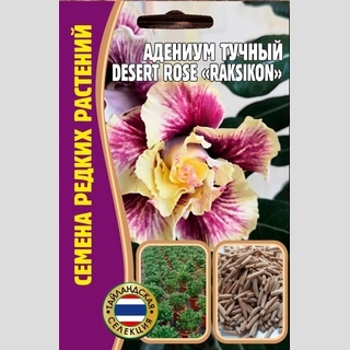 Адениум Raksikon (тучный) (большой пакет)