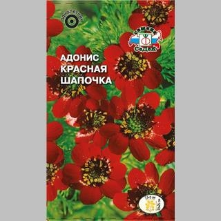 Адонис Красная шапочка