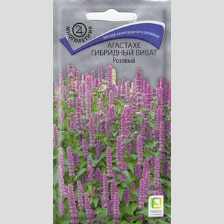 Агастахе Виват Розовый (гибридный)