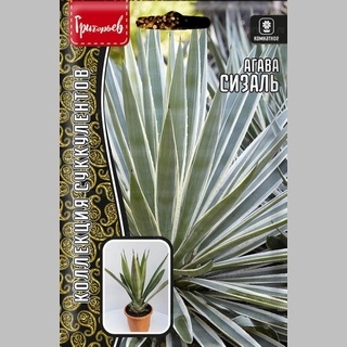 Агава Сизаль (большой пакет)