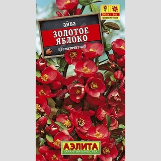 Айва Золотое яблоко японская