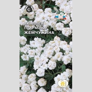 Ахиллея Жемчужина  (тысячелистник)