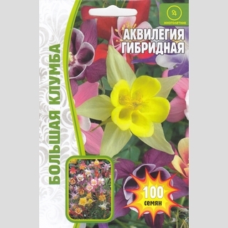 Аквилегия гибридная Mckana giants (mix)