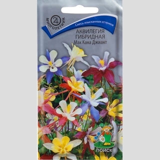 Аквилегия Мак Кана Джиант (гибридная)
