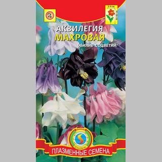 Аквилегия махровая смесь