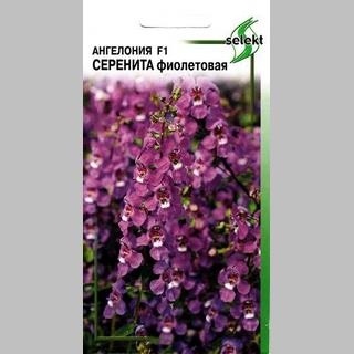 Ангелония Серенита F1 Фиолетовая