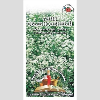 Анис Обыкновенный