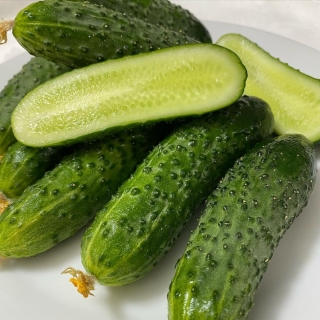 Огурец Антисипатор F1