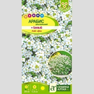 Арабис Белый Альпийский