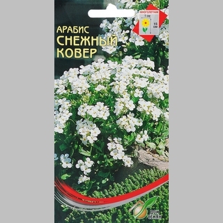 Арабис Снежный Ковер