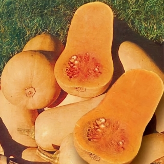 Тыква Арахисовое масло