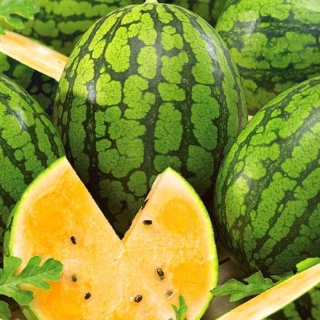 Арбуз Оранж Кинг F1