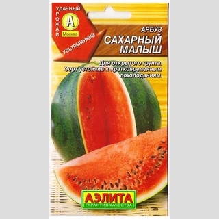 Арбуз Сахарный малыш