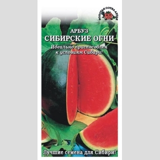 Арбуз Сибирские огни