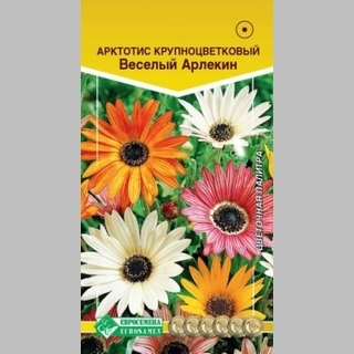 Арктотис Веселый Арлекин