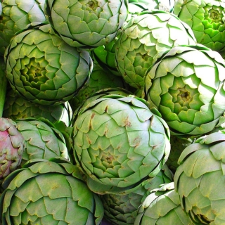 Кардон Заморский деликатес (артишок)