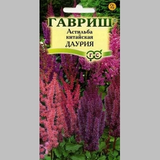 Астильба Даурия китайская смесь