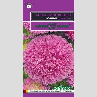 Астра Баллон Розовый