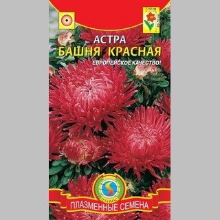 Астра Башня Красная