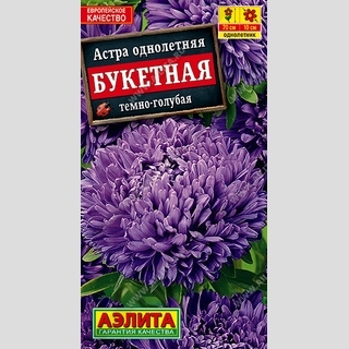 Астра Букетная Темно-голубая