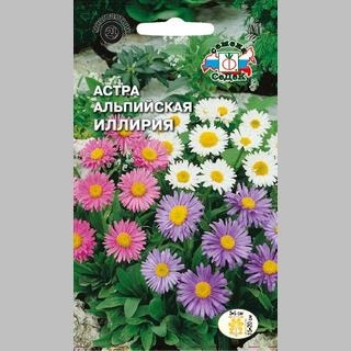 Астра Иллирия смесь (альпийская)