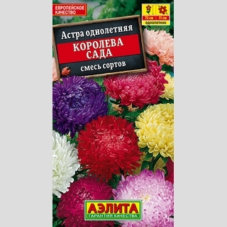 Астра Королева сада смесь