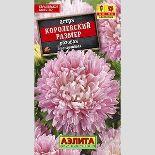 Астра Королевский размер Розовая