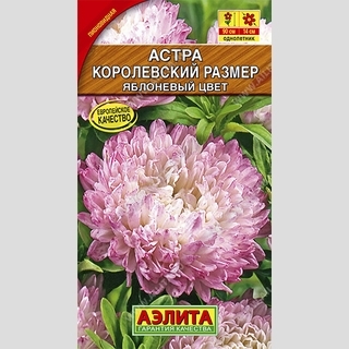 Астра Королевский размер Яблоневый цвет