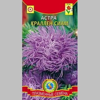 Астра Краллен Сиам