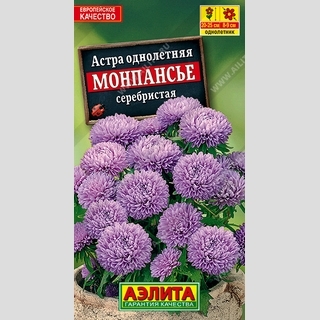 Астра Монпансье Серебристая