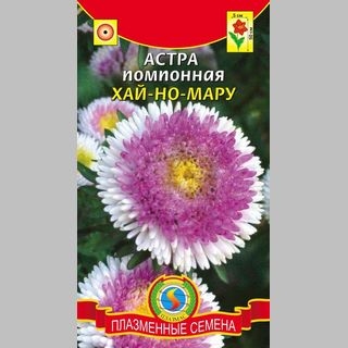 Астра Хай-Но-Мару