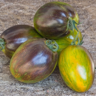 Томат Атомный синтез