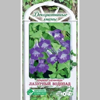 Азарина Лазурный Водопад
