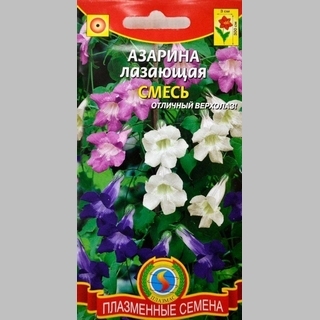 Азарина лазающая Смесь